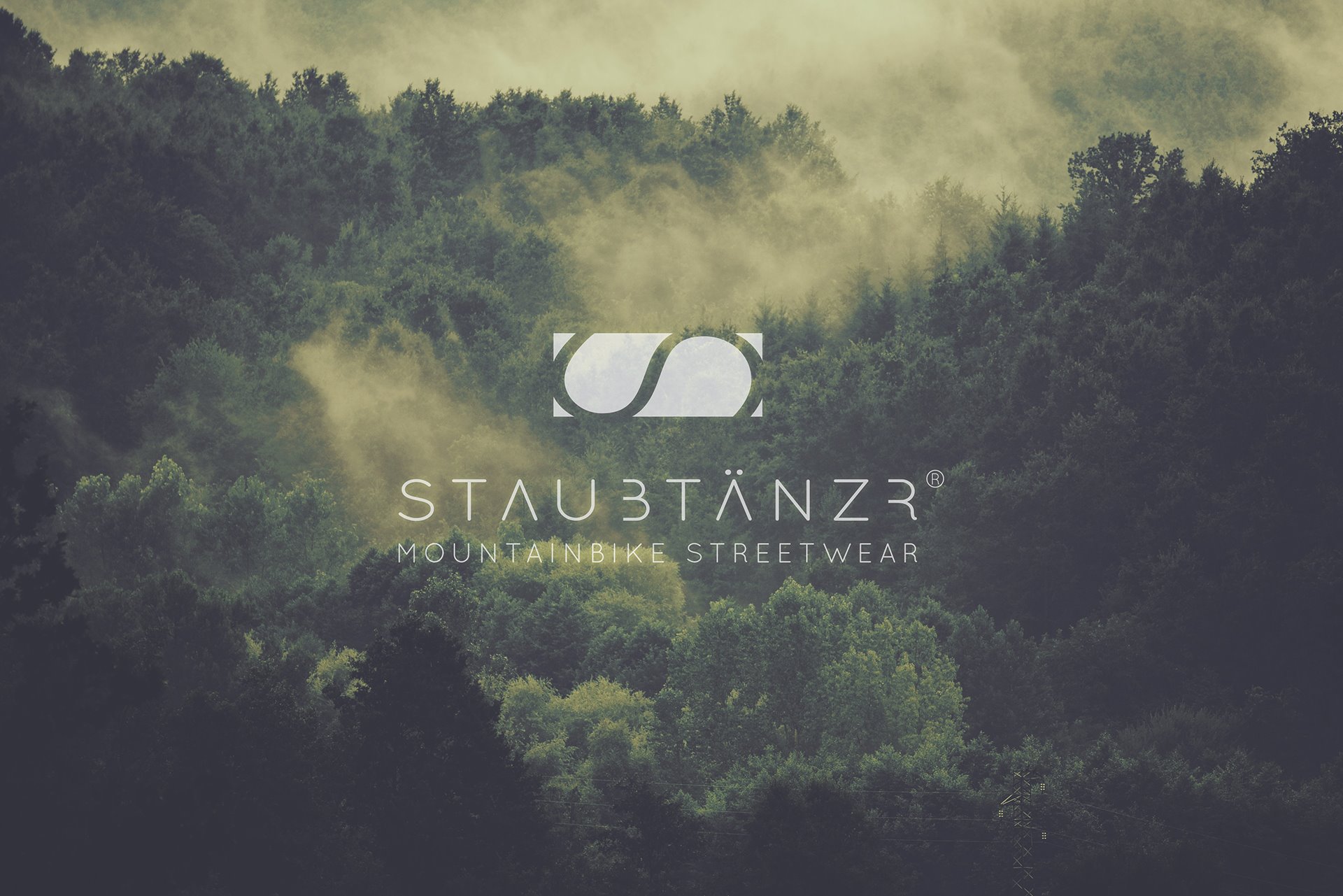 STAUBTÄNZER Logo