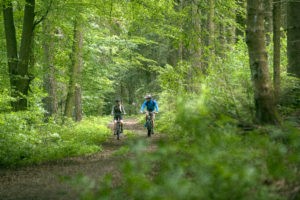 Biken im Spessart