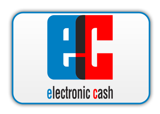 electronic cash Icon