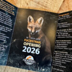 Innenseite eines Flyers